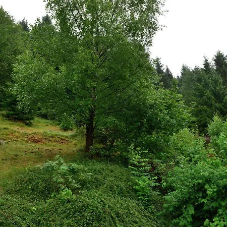 Apartment Bei Fuer Wintersport