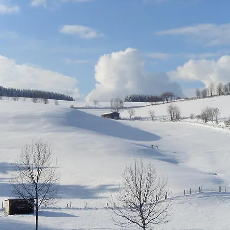 Bei Fuer Wintersport Willingen (Upland)
