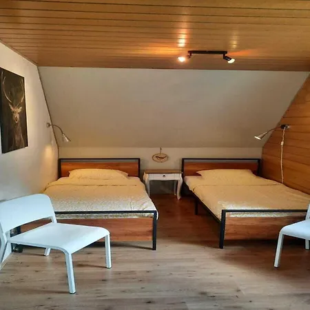 Apartment Bei Fuer Wintersport Willingen (Upland)