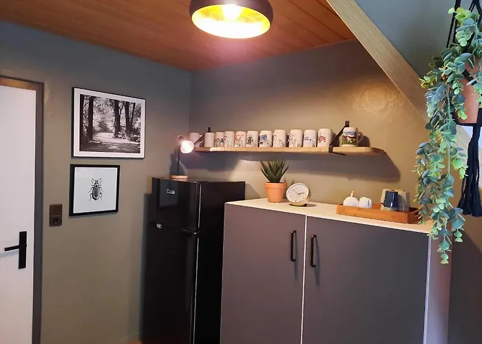 Bei Fuer Wintersport 아파트 빌링겐