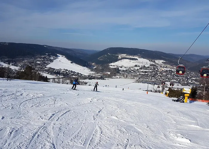 Bei Fuer Wintersport 아파트 빌링겐