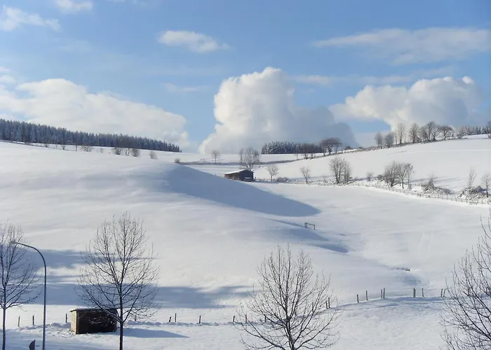 Bei Fuer Wintersport 빌링겐